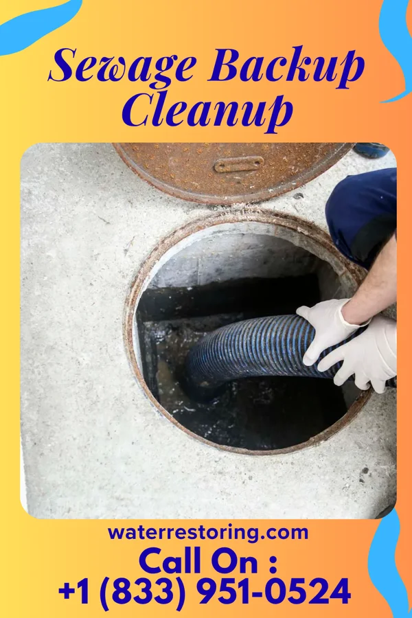 Sewage Backup Cleanup in Devers, TX